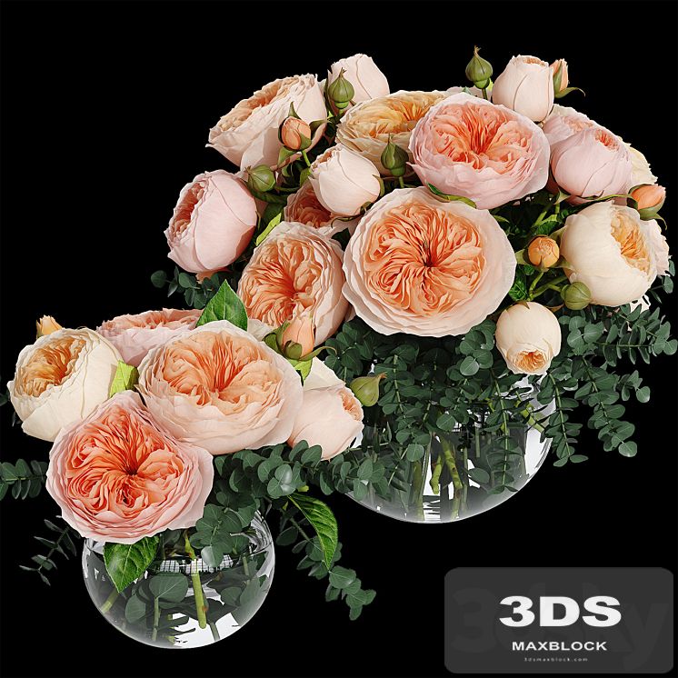 Rosa Juliet