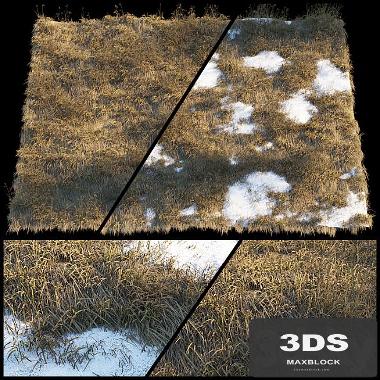 Dry grass | Thaw pollen