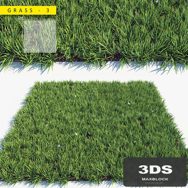 Grass 3