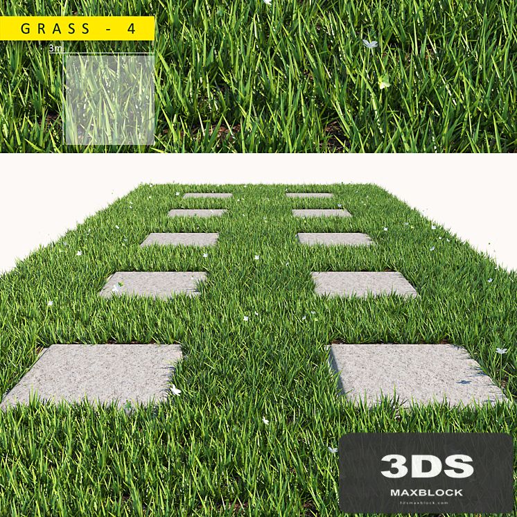 grass 4