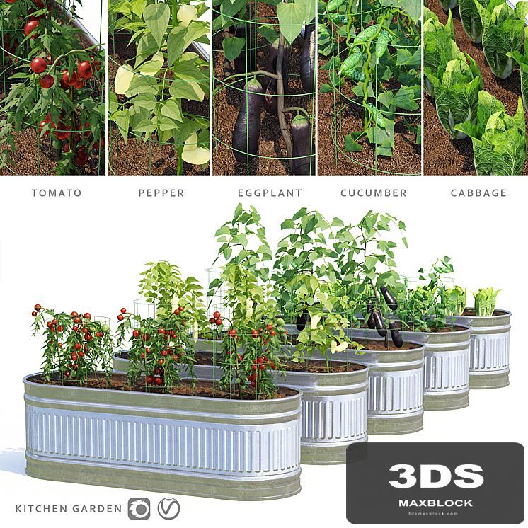Garden | Kitchen garden