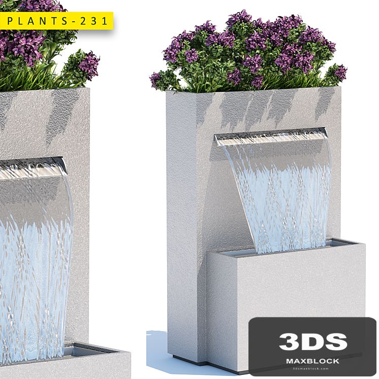 plants 231