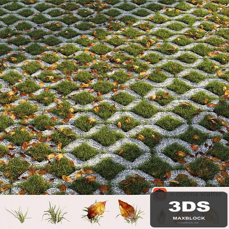 Grass in the square brick