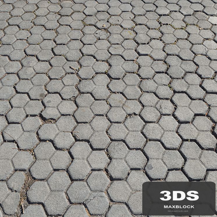Pavement tiles_7