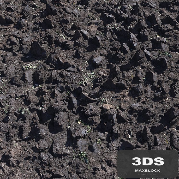 Plowed land_1
