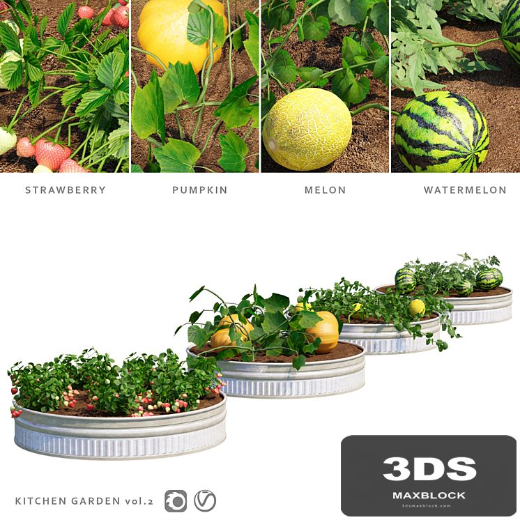 Garden | Kitchen garden.vol 2