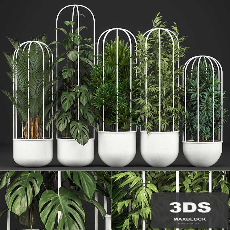 Plant collection 328. White pot, flowerpot, monstera, bamboo, dracaena, palm tree, indoor plants, Scandinavian style, metal flowerpot, bushes, thickets