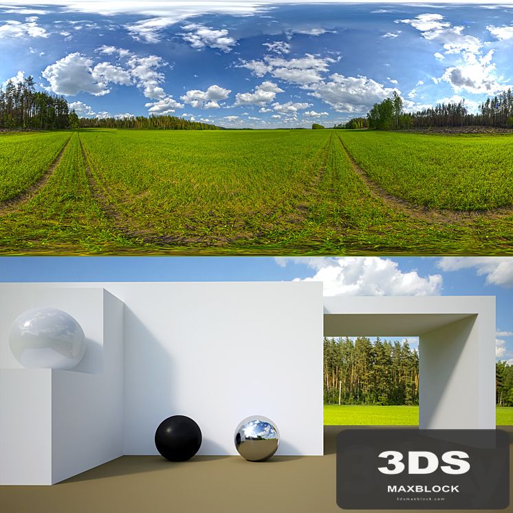 HDRi on the edge of the forest