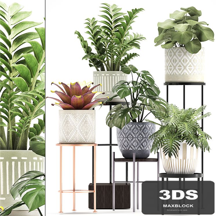 Collection of plants 333. Flower shelf, stand, Zamioculcas, monstera, Bromelia, Philodendron, houseplants, stand, Scandinavian style, flower