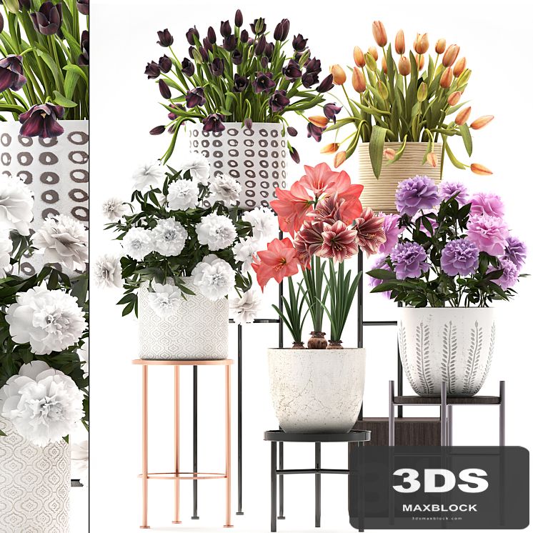 335 plant collection. Stand, Peony, Tulip, Hippeastrum, bouquet set, garden flowers, flower shelf, stand, Scandinavian style