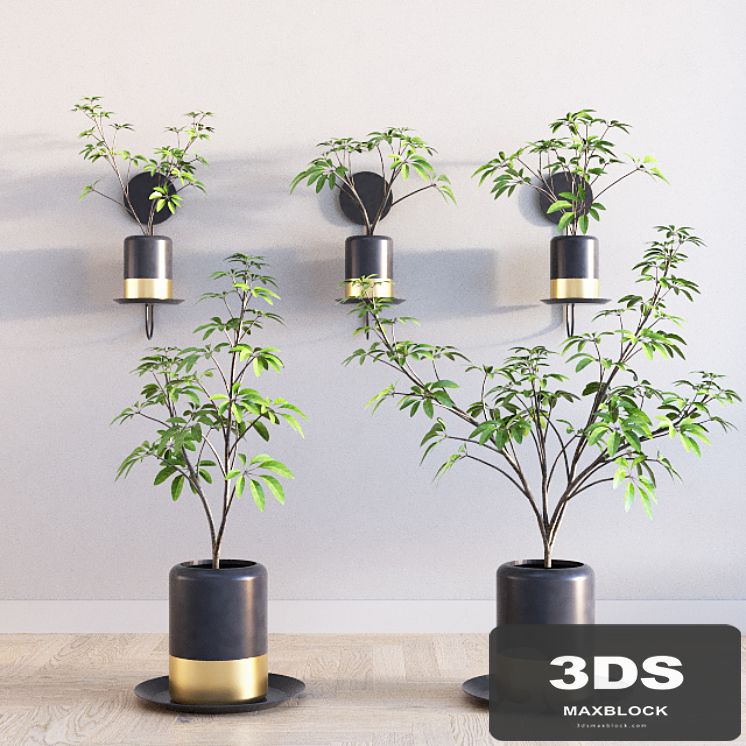 Deco Plants Set 1