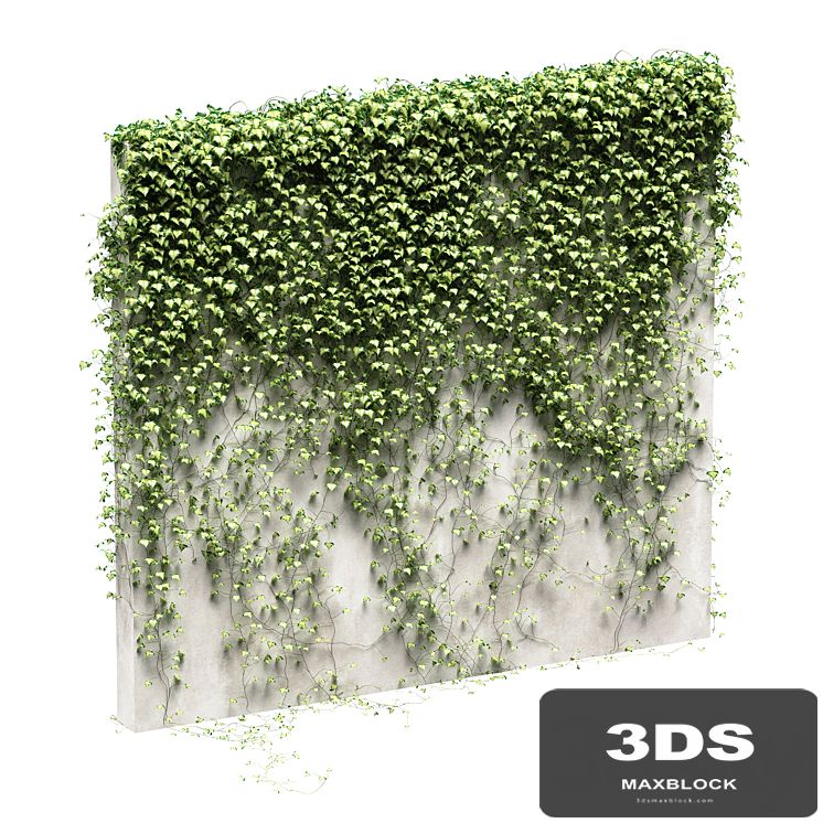 Ivy for the fence v3