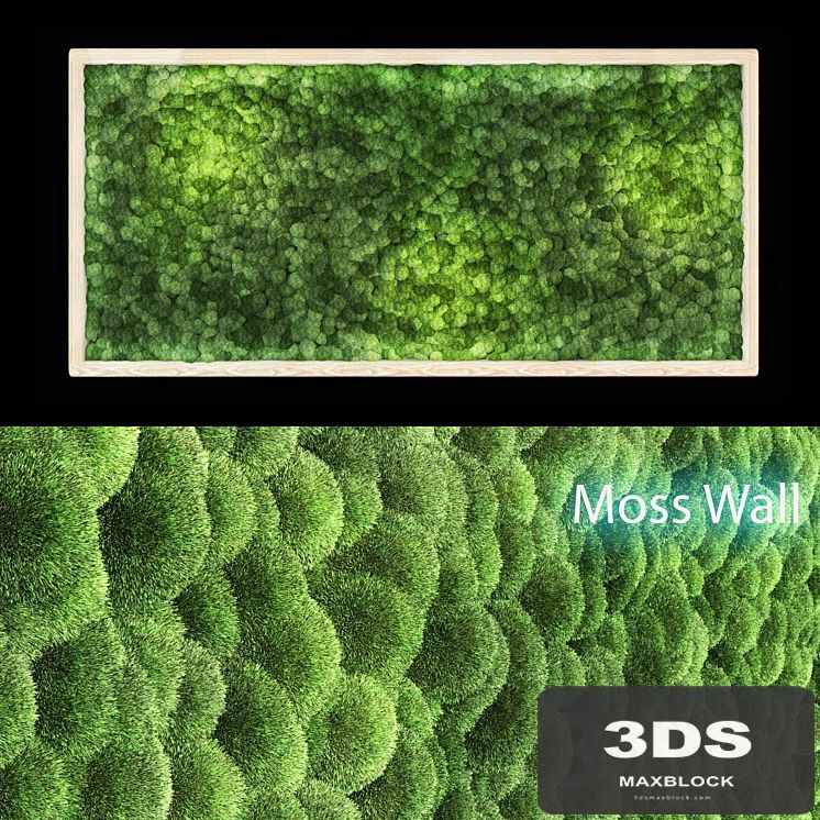 moss wall