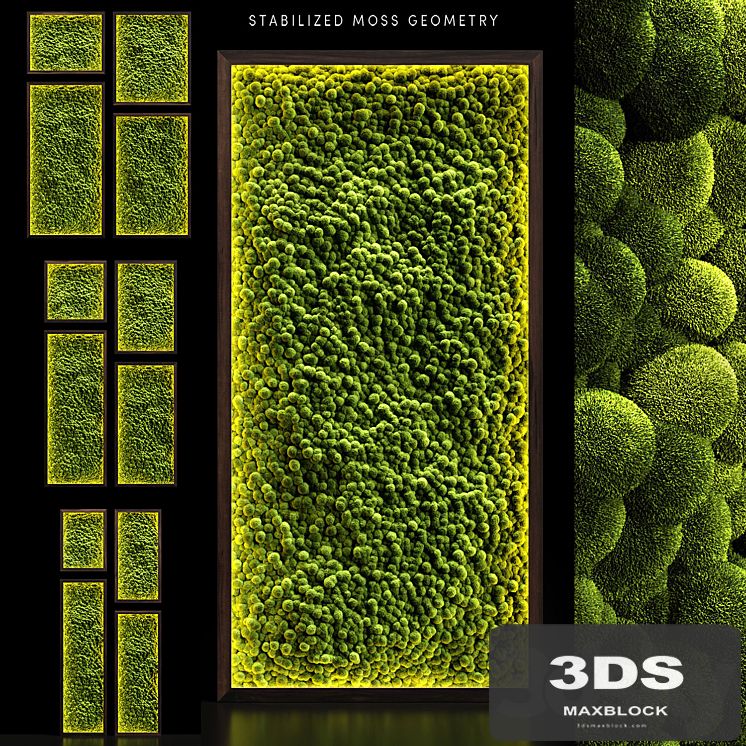 Mosswalls 2