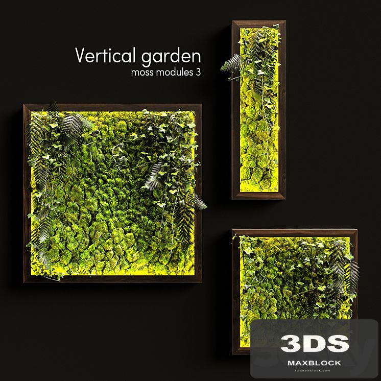Vertical garden. Moss modules 3