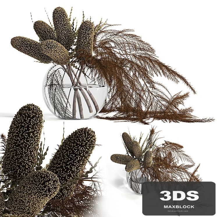 Dry banksia and fern