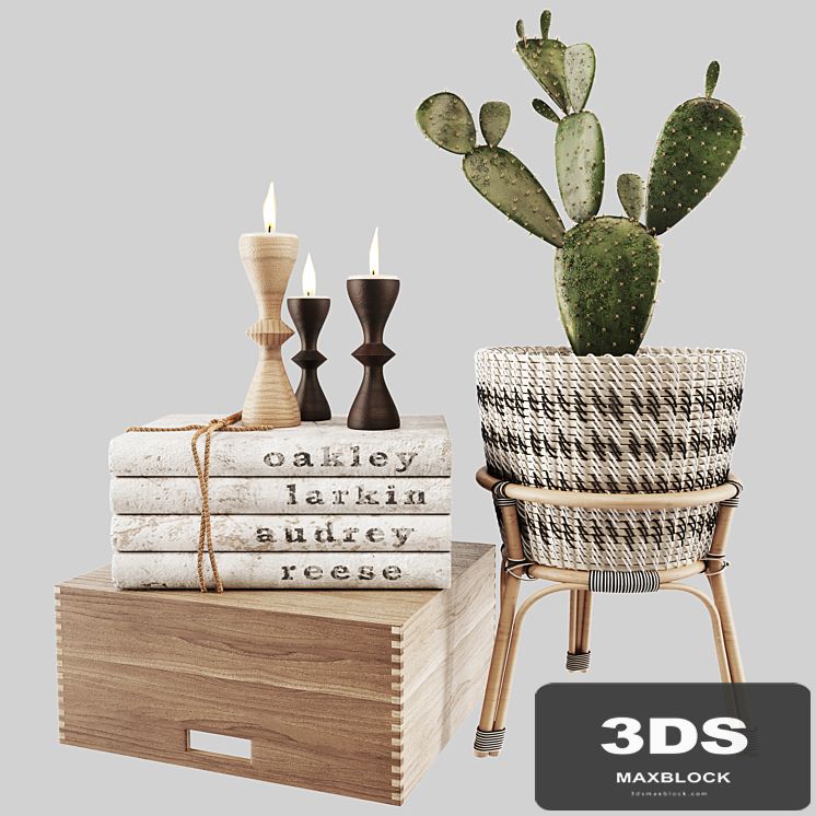 Modern Decor Set 10