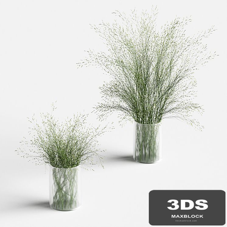 Grass in vases 2
