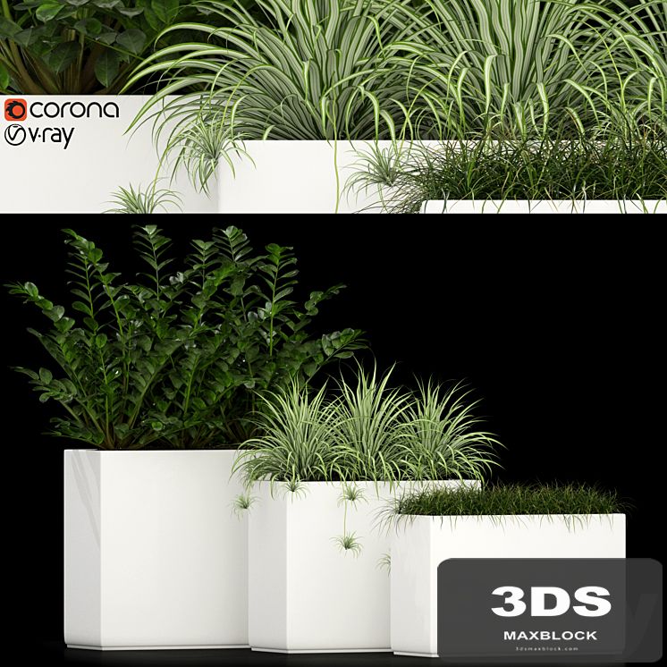 Plants collection 186