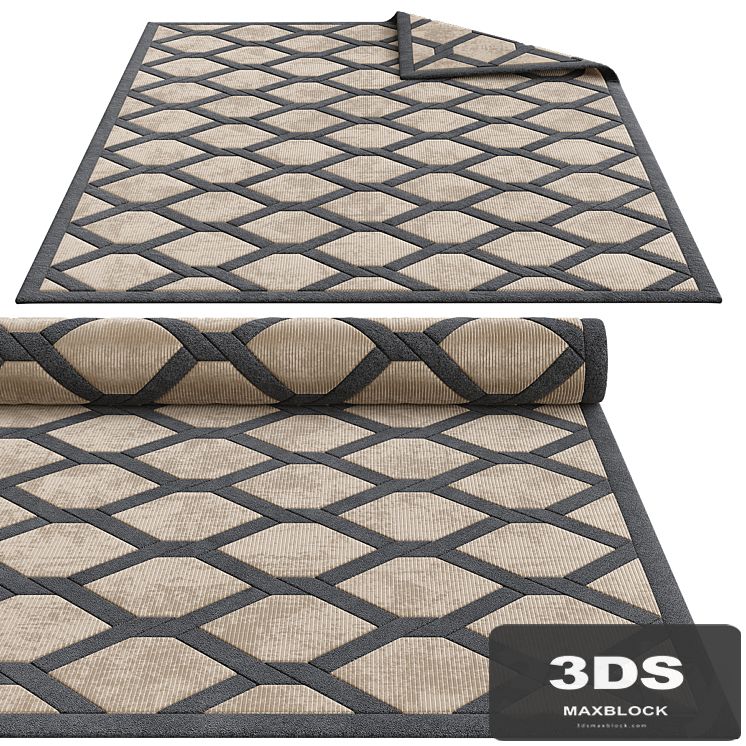 Exquisite rugs