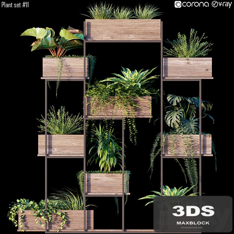 Plant set # 11