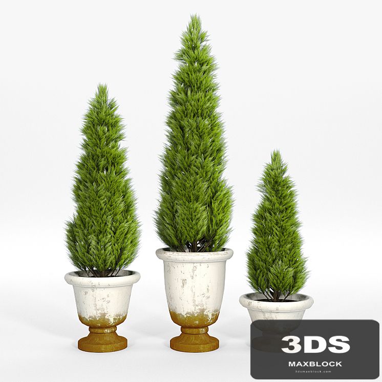 Tuscan planters