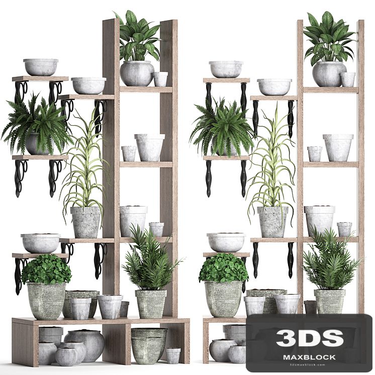 Plant Collection 365. Shelf with plants, aloe, flowerpot, greenery, vertical garden, concrete, eco design