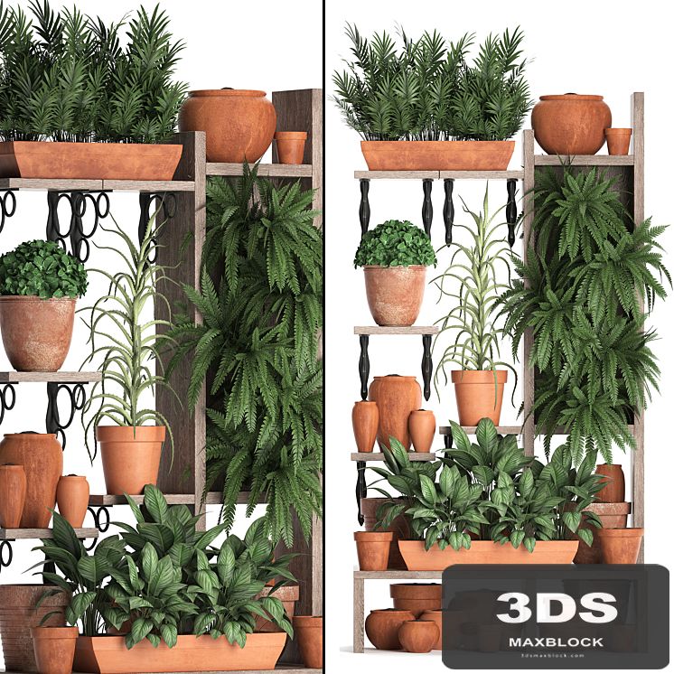 Plant Collection 366. Plant shelf, fern, flowerpot, greenery, vertical garden, clay pot, aloe, clinker, vertical garden, phytowall
