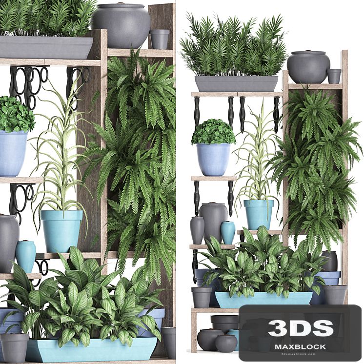 Plant Collection 367. Shelf with plants, fern, flowerpot, greenery, vertical garden, phytowall, phytomodule, pots, eco design
