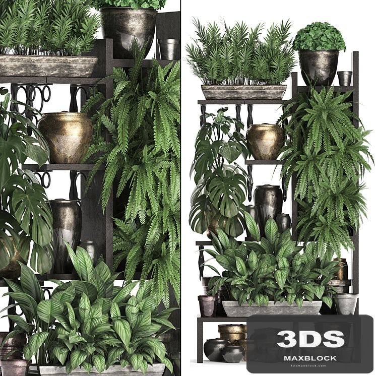 Plant Collection 368. Flower shelf, fern, monstera, flowerpot, greenery, vertical garden, phytowall, phytomodule, pots, eco design