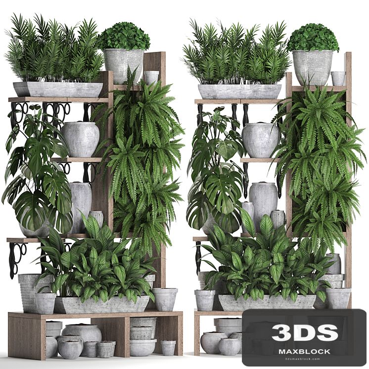 Plant Collection 369. Shelf with flowers, fern, flowerpot, greenery, vertical garden, concrete pot, phytowall, phytomodule, pots, eco design, Areca palm
