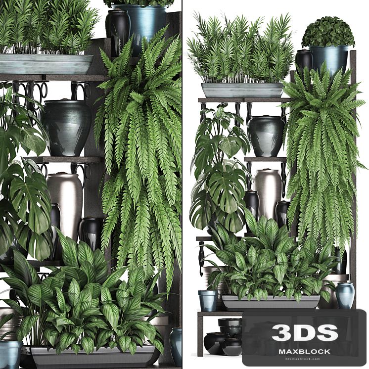 Plant Collection 371. Shelf with flowers, ficus lyrata, monstera, flowerpot, greenery, vertical garden, phytowall, phytomodule, pots, eco design, Scandinavian style