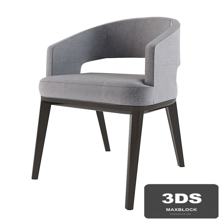 Minerva dinning chair by Holly Hunt