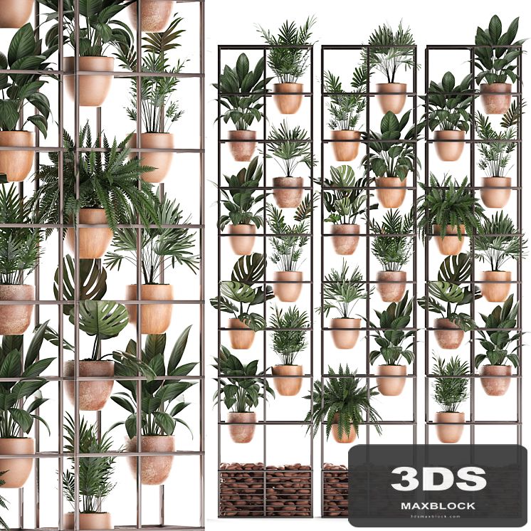 Shelf with flowers in clay pots vertical garden with fern, palm, monstera, ficus, shelving. Set of 30.