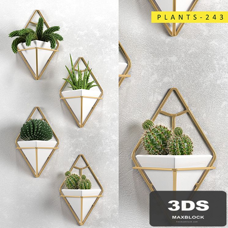 Plants 243
