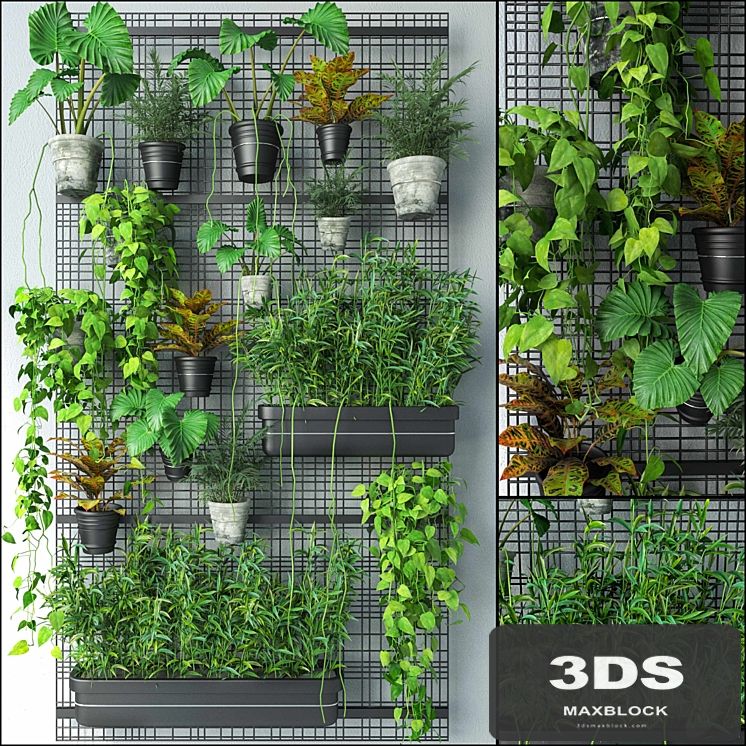 JC Wall Grid Plant Pot 4
