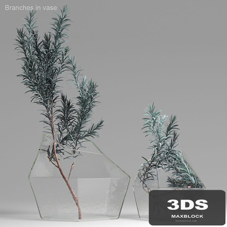 Branches in vase
