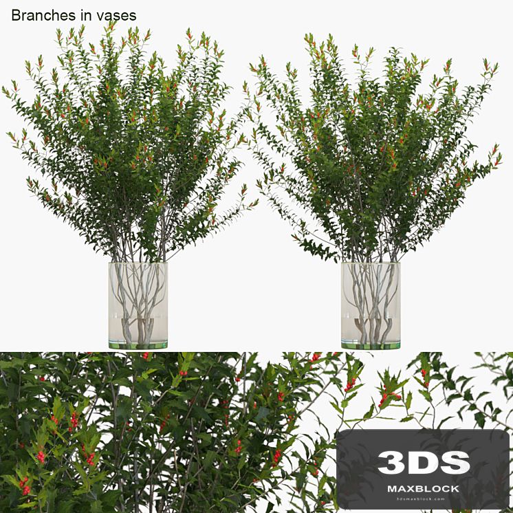 Branches in vases: Dragon Lady