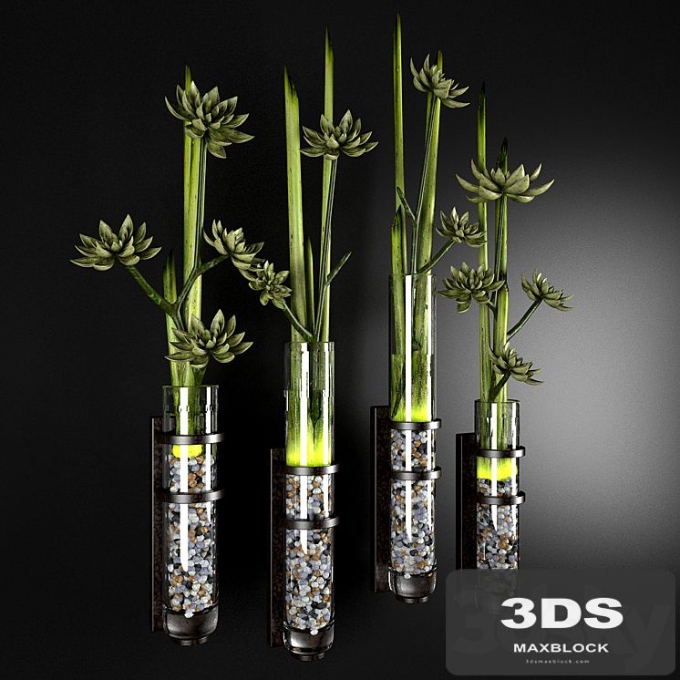 DECO PLANTS