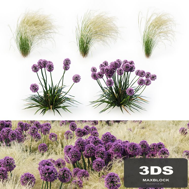 Landscape Set Vol 1