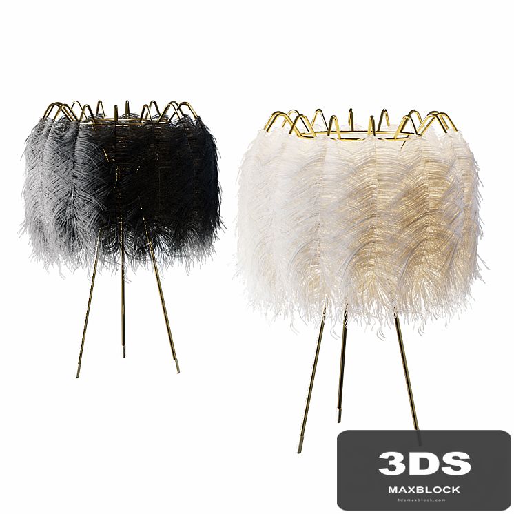Plumage 55