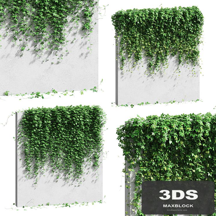 Wall with grape leaves