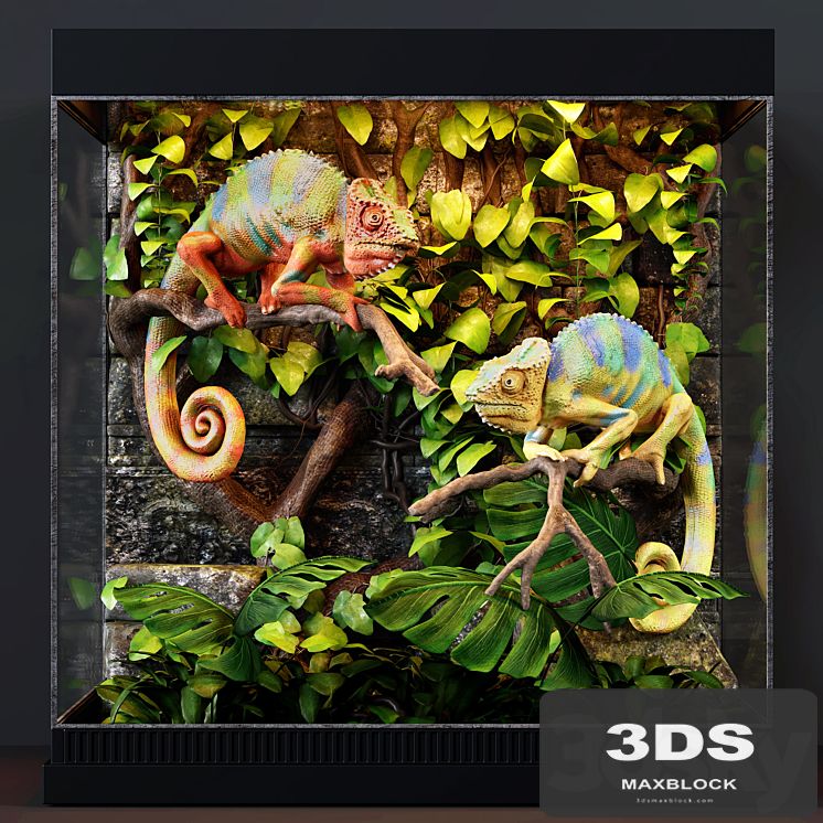 Terrarium