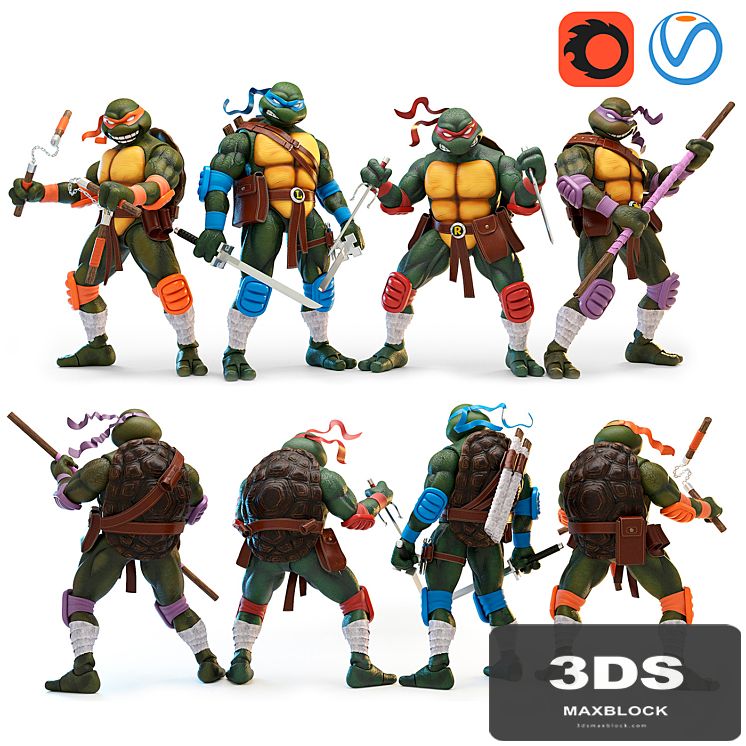 Teenage Mutant Ninja Turtles (TMNT)