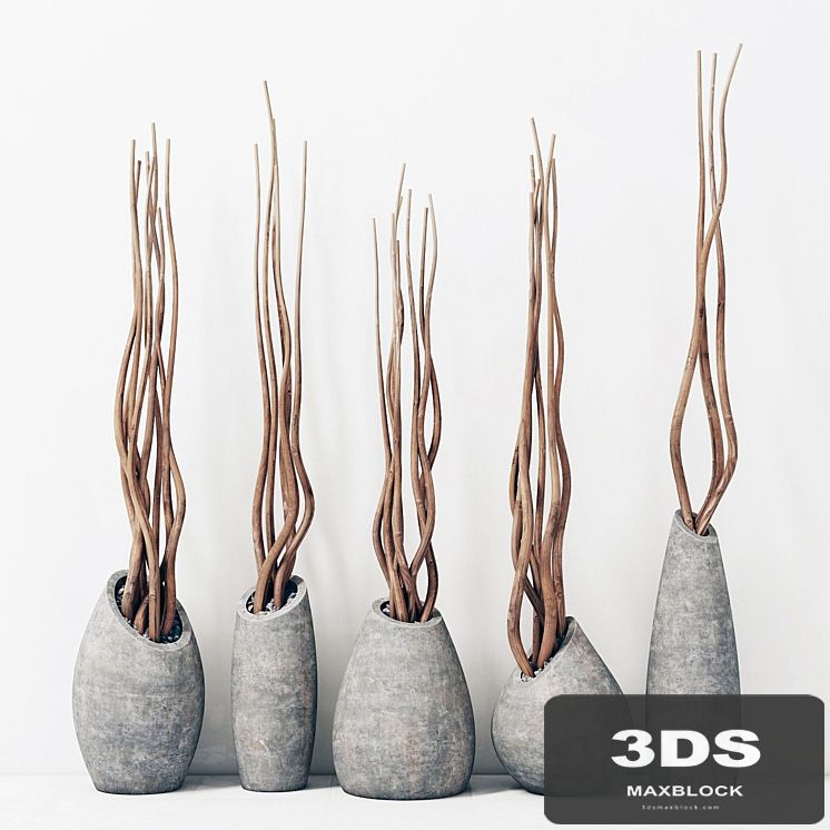 Branches in concrete vases / Branch concrete vase