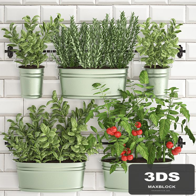 Plant Collection 382. Кухонный сад, огород, кухонный фартук, плитка, овощи, зелень, помидоры, розмарин, базилик, рейлинг