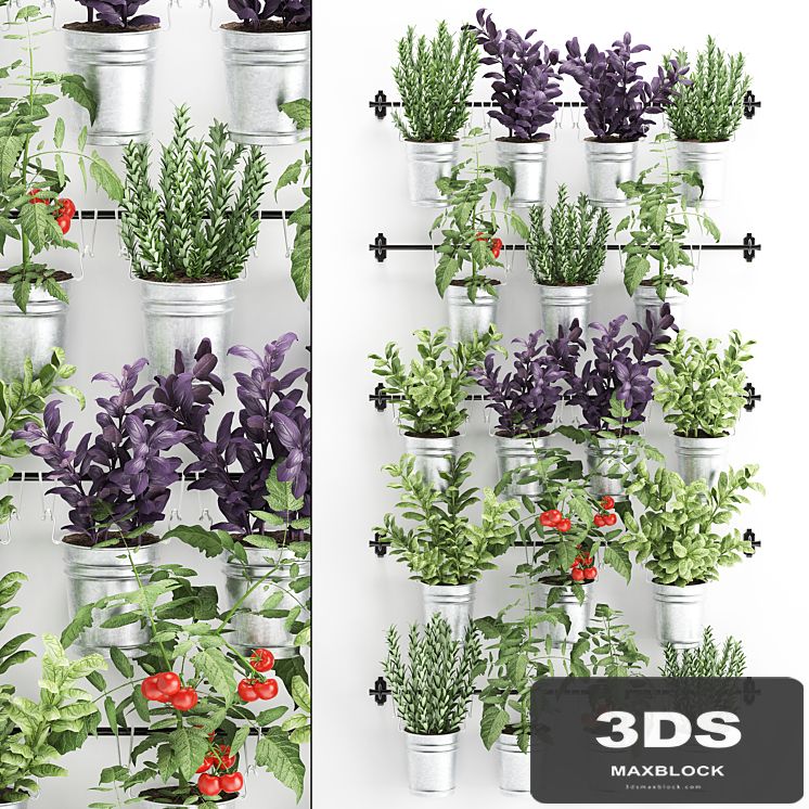 Vertical gardening. 33. Kitchen garden, vegetable garden, vegetables, herbs, tomatoes, rosemary, basil, railing, phytowall, phytomodule