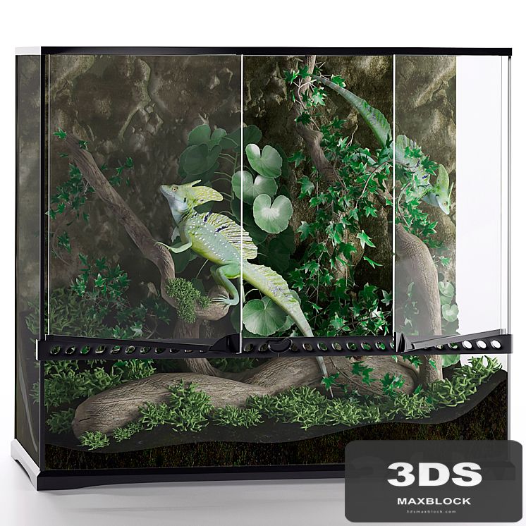 Terrarium, Basilisk