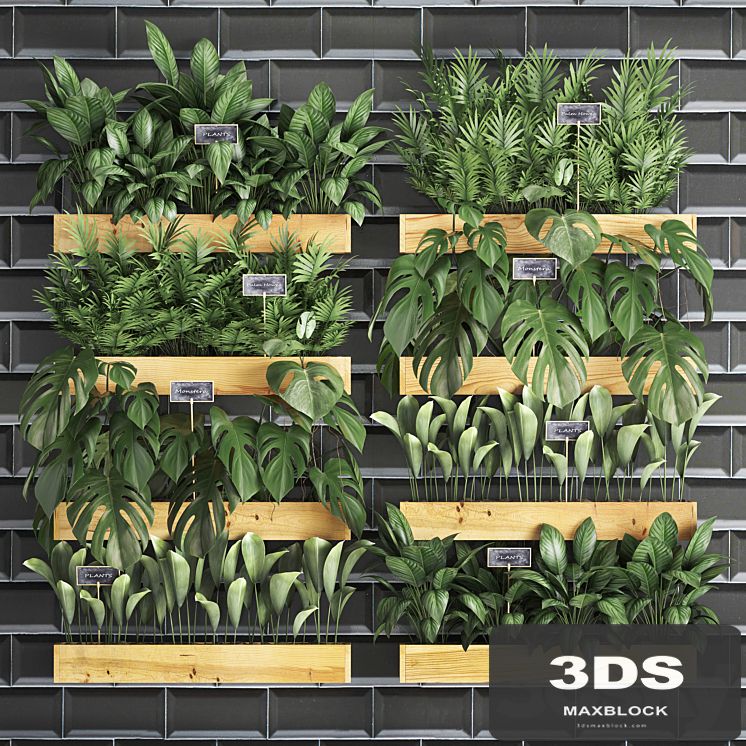 Collection of plants vertical gardening in wooden wall pots shelves with monstera, areca palm, bush, black tile. Set 40.
