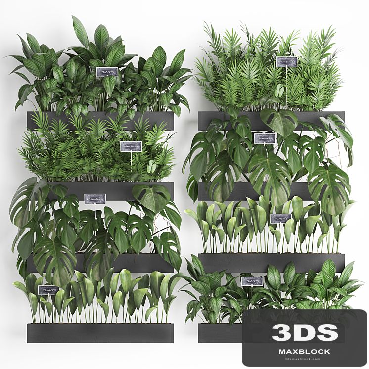 Collection of plants vertical gardening in wooden wall-mounted black pots shelves with monstera, areca palm, bush. Set 41.